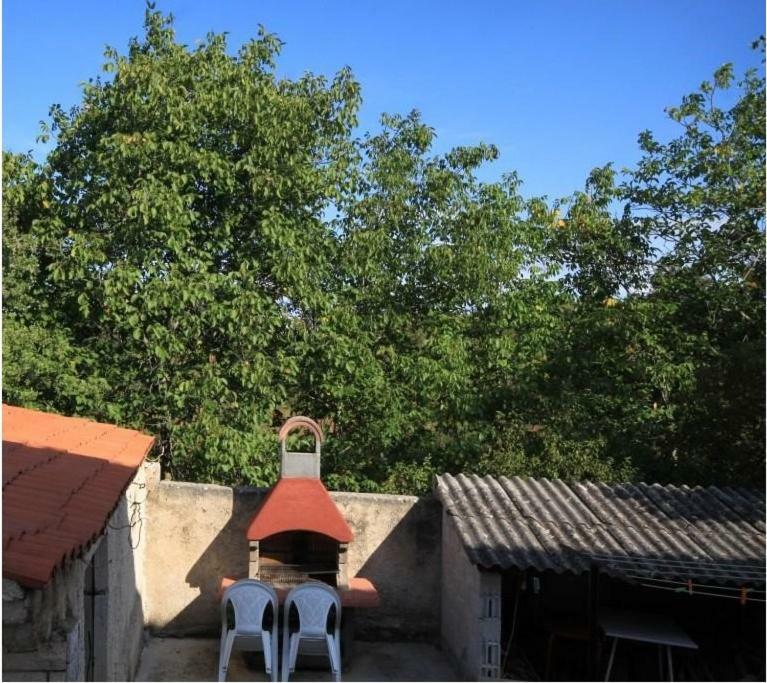 Radovan Poreč