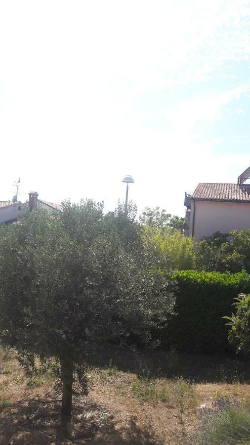 Appartement Radovan